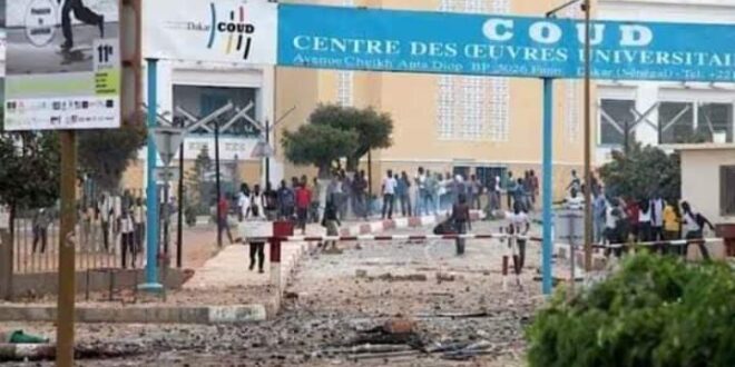 Screenshot 20260209 2219282