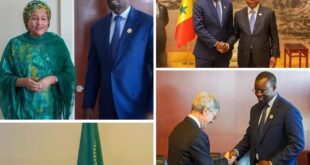 Screenshot 20260215 1602282