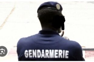 Screenshot 20260219 0850242