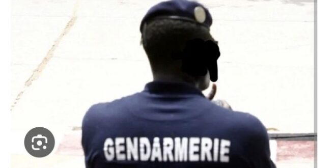 Screenshot 20260219 0850242