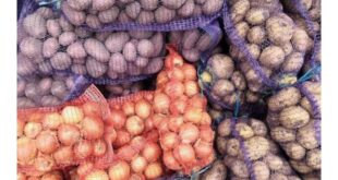 Screenshot 20260225 1723372