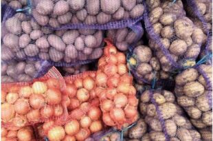 Screenshot 20260225 1723372