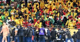 thumb 1260x800 69858bee26114 sSlYYyS4sX