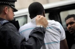 thumb 1260x800 69859af9971bf N2tvM4vyCB