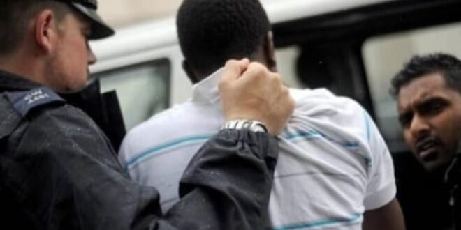 thumb 1260x800 69859af9971bf N2tvM4vyCB