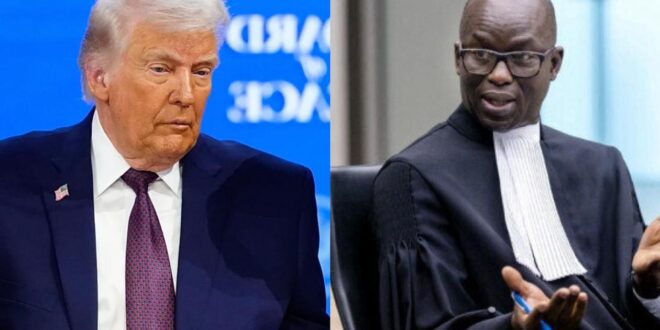 thumb 1260x800 698acc8be82b9 46l2UAFJD1