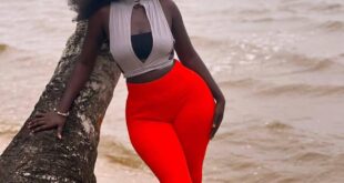 540547531 1341740750690019 4546747212689665592 n