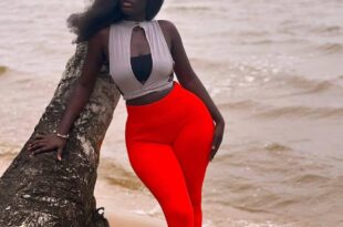 540547531 1341740750690019 4546747212689665592 n