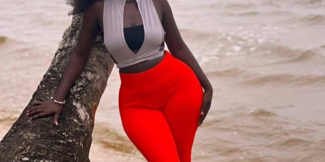 540547531 1341740750690019 4546747212689665592 n