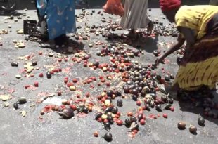 Capture decran 2026 03 05 a 16.38.37