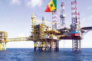 Capture decran 2026 03 23 001402