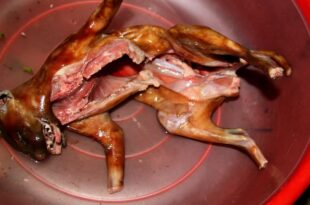 SKSLIWRFHZFP7DLC5U4UDC2Q2I