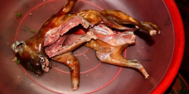 SKSLIWRFHZFP7DLC5U4UDC2Q2I