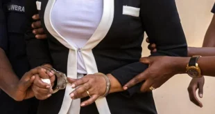 014b6420 5662 4a81 801b 9aefea78dc72 1