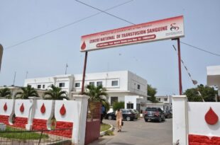 595820927 1164509695831169 8948369085902931285 n