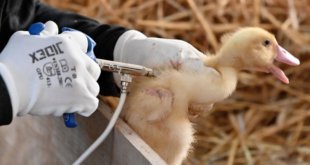 Capture decran 2026 04 13 a 13.30.13