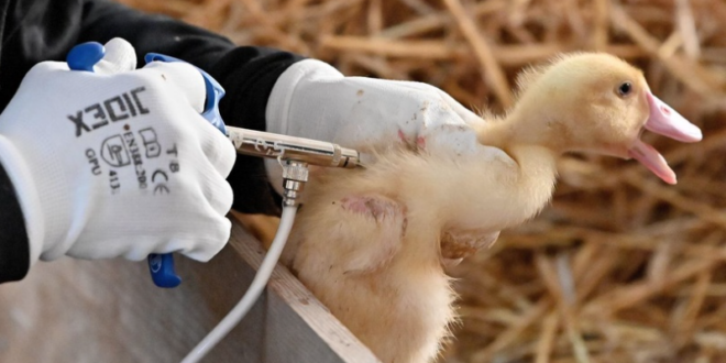 Capture decran 2026 04 13 a 13.30.13