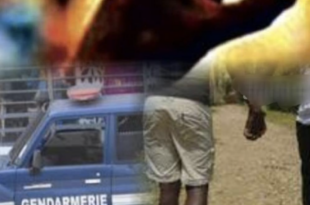 Capture decran 2026 04 25 a 08.19.15