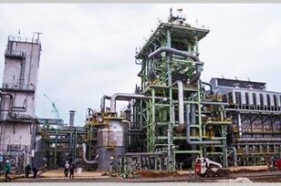 WhatsApp Image 2026 04 25 at 12.07.28