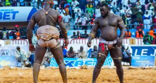 thumb 1260x800 69e88a7401f8b 4sRvN6bUjY