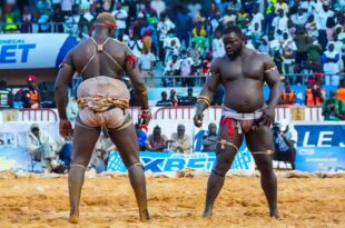 thumb 1260x800 69e88a7401f8b 4sRvN6bUjY