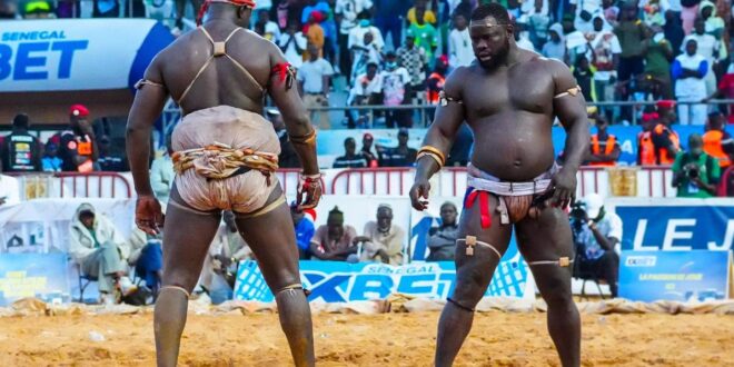 thumb 1260x800 69e88a7401f8b 4sRvN6bUjY