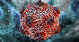Hantavirus 3D illustration Science Photo Library