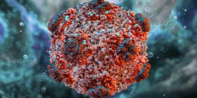 Hantavirus 3D illustration Science Photo Library