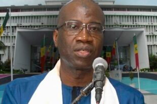 Senegal Matar Ndiaga Seck presente comme un proche dOusmane Sonko interpelle pour actes contre nature presumes STOP homophobie