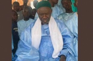 serigne