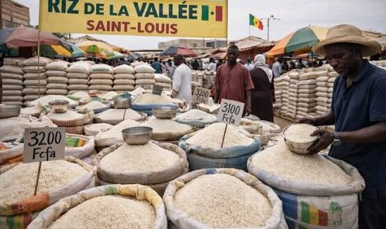 Riz local : le ministre du Commerce annonce l'achat de 9 000 tonnes et la signature d'un mémorandum, mercredi 11 juillet 2026 1 97268365 67760011