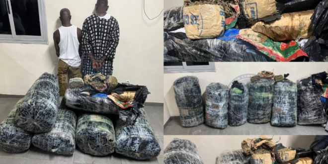 Plus de 300 kg de drogue saisis à Thiaroye : deux dealers arrêtés par la BR de Keur Massar 1 Capture decran 2026 07 23 a 15.46.05