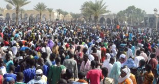 magal toua