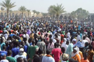 magal toua