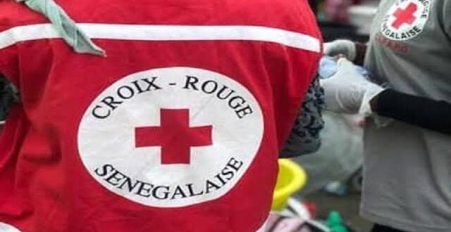 Grand Magal de Touba : la Croix-Rouge a secouru 566 pèlerins dont 92 enfants égarés 1 97557349 67930588