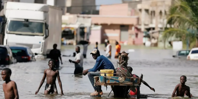 Keur Massar Sud : Entre eaux stagnantes et postes de santé démunis, le ras-le-bol général des habitantsb 1 Capture decran 2026 08 20 a 12.04.23