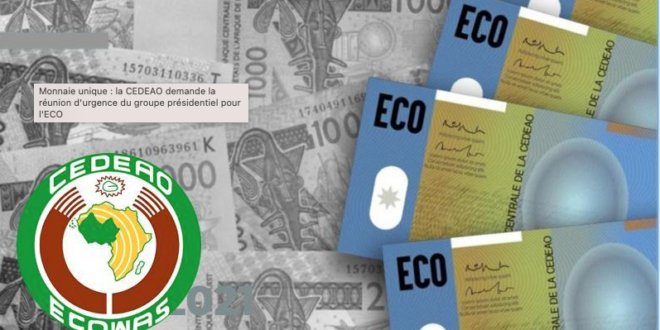 Monnaie unique : la CEDEAO demande la réunion d'urgence du groupe présidentiel pour l'ECO 1 Capture decran 2026 09 10 a 15.01.50