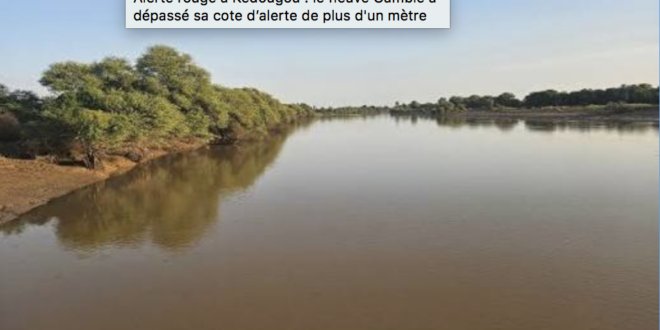 Alerte rouge à Kédougou : le fleuve Gambie a dépassé sa cote d’alerte de plus d'un mètre 1 Capture decran 2026 09 25 a 11.51.37