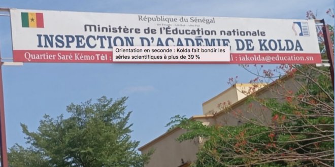 Orientation en seconde : Kolda fait bondir les séries scientifiques à plus de 39 % 1 Capture decran 2026 09 26 a 08.08.48