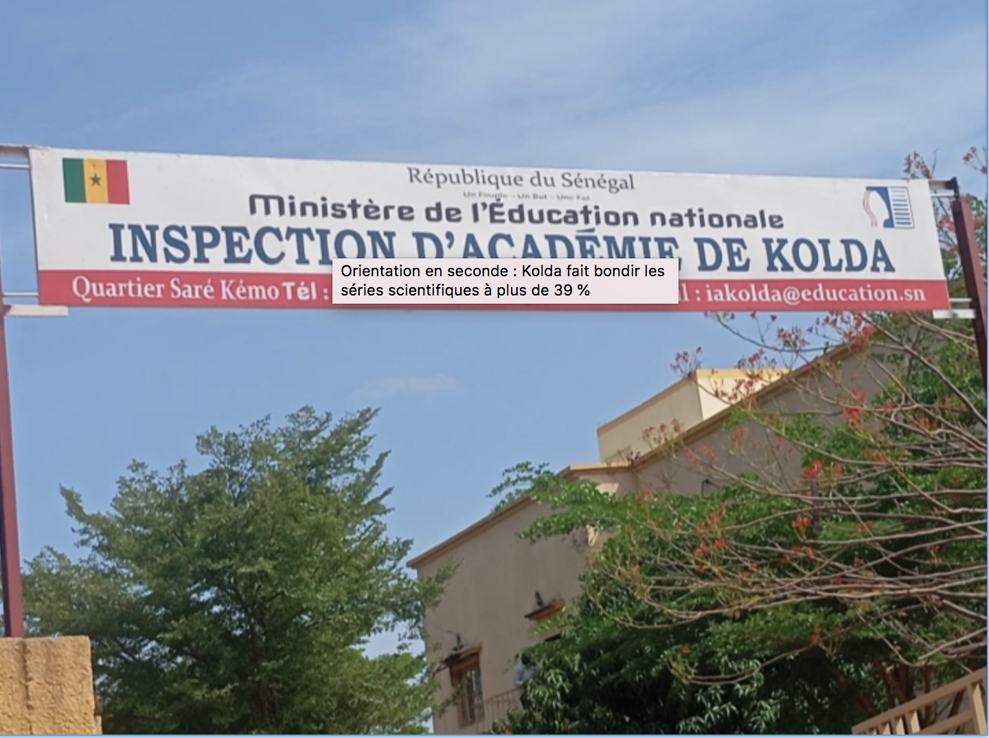 Orientation En Seconde : Kolda Fait Bondir Les Séries Scientifiques à Plus De 39 %