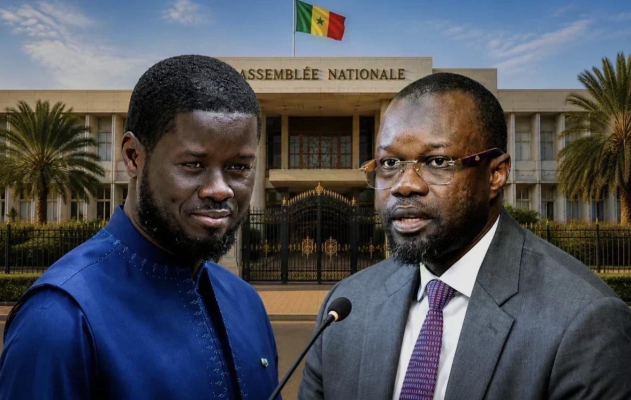 Dissolution Ou Non De L’Assemblée Nationale ? : 