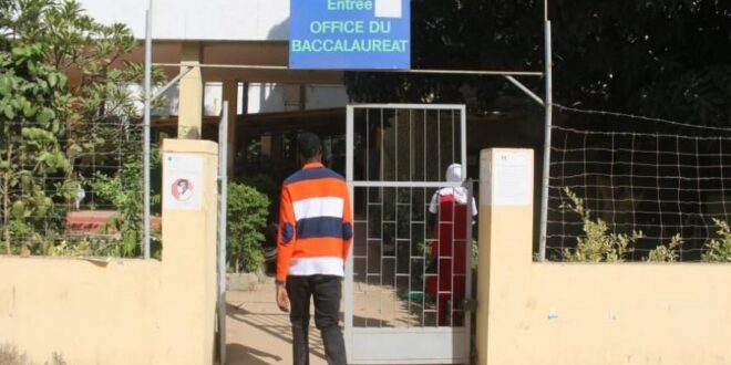 Sénégal : l’Office du Baccalauréat alerte sur des propositions frauduleuses de « facilitation administrative » 1 98255094 68482939