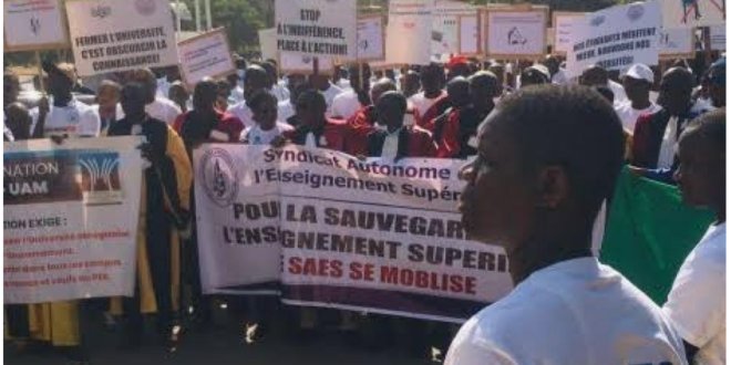 Chantiers de l'Université de Bambey : le SAES exige le respect des délais et met la pression sur les autorités 1 Capture decran 2026 10 02 a 09.54.13