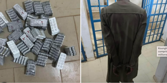 Koungheul : les Douanes saisissent 3000 comprimés de Tapentadol d’une valeur de 15 millions FCFA 1 Capture decran 2026 10 15 a 09.48.13